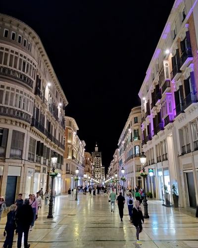 Visita guiada en malaga