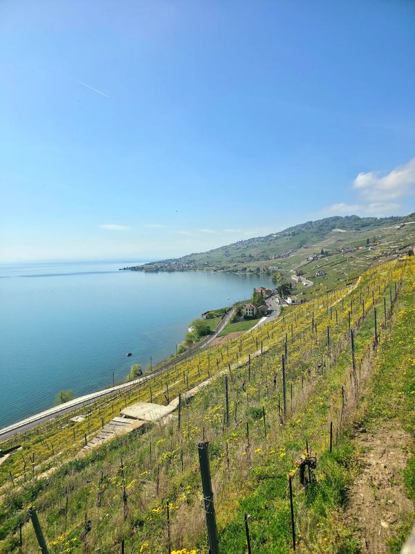 Custom Private Tour of Switzerland
