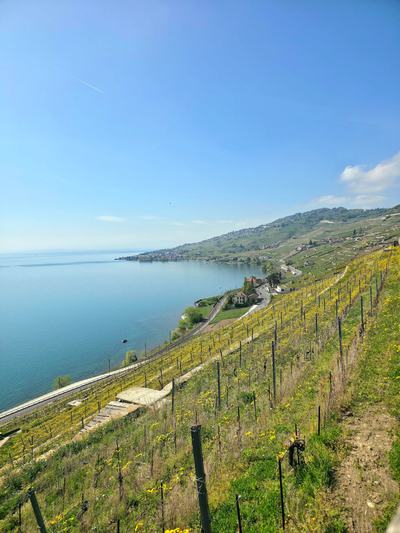 Custom Private Tour of Switzerland