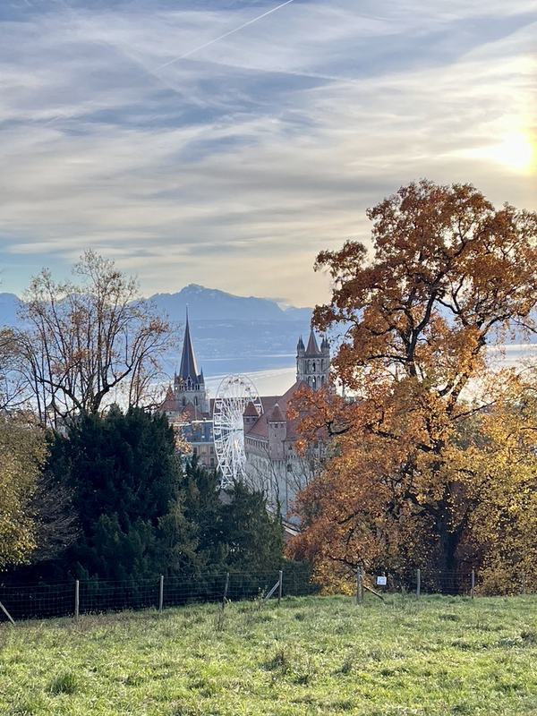 Discover hidden gems and must-see, with a local guide