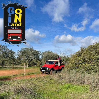 Go inland_Safari de 4 horas, AM/PM