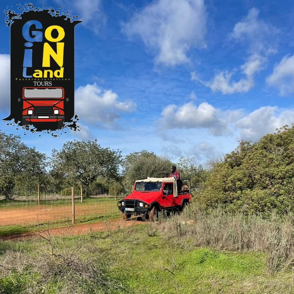 Go inland_Safari de 4 horas, AM/PM