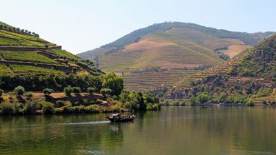 Douro Valley river cruise