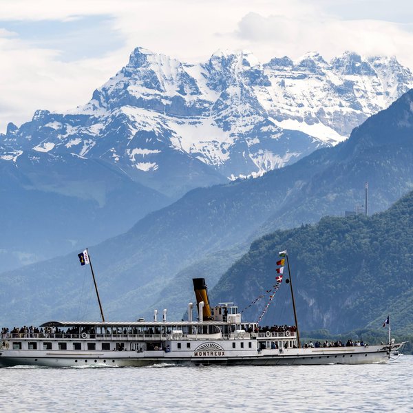 Lavaux Wine and Vineyard Experience with Boat Cruise