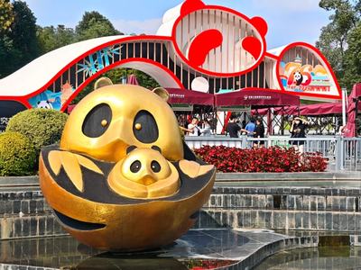Chengdu Panda Base Private Guided Tour