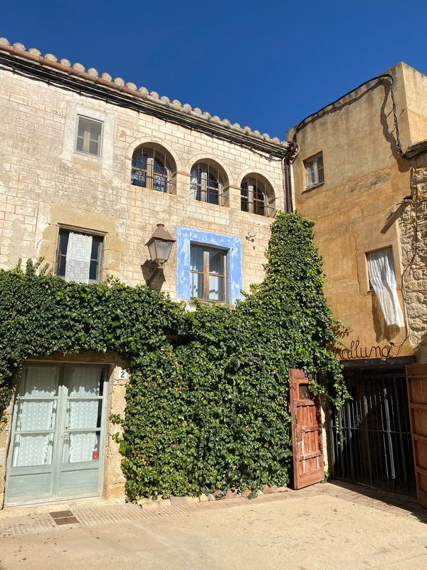 Barcelona: Private Trip, Girona, Medieval Town, Coast & Wine