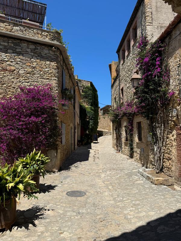 Barcelona: Private Trip, Girona, Medieval Town, Coast & Wine