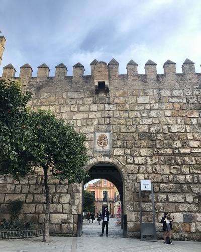 Highlights Walking Tour of Seville