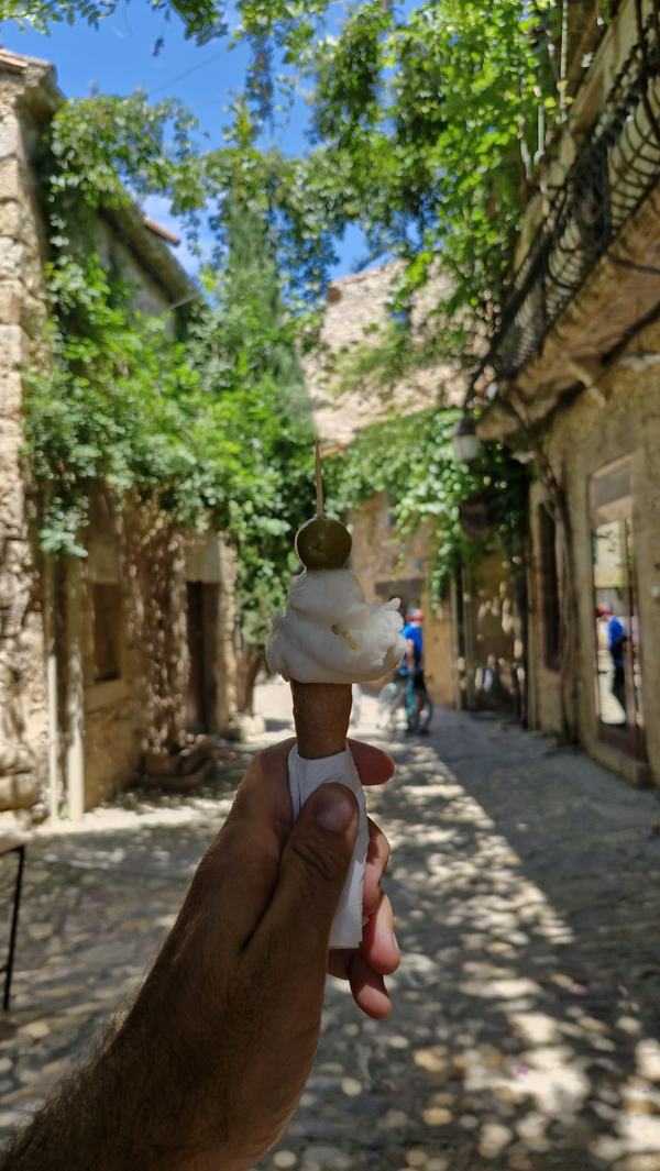Barcelona: Private Trip, Girona, Medieval Town, Coast & Wine