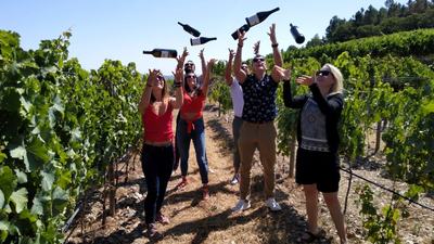 Small group Douro Valley Wine Tour from Porto with Cooltour Oporto