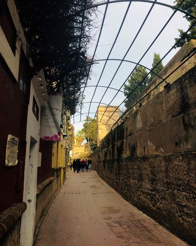 Highlights Walking Tour of Seville