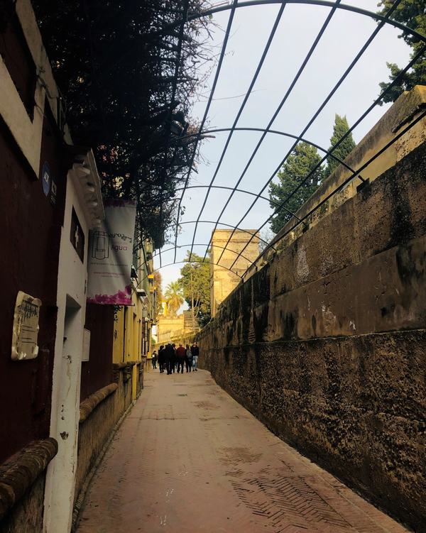 Highlights Walking Tour of Seville