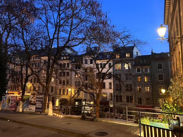 Vieille ville de Genève : balade historique à pied
