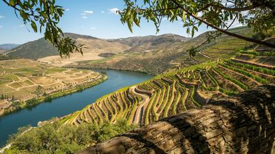 Unesco Douro Valley Wine Region