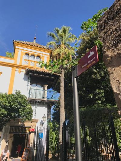 Highlights Walking Tour of Seville