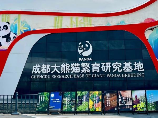 Chengdu Panda Base Private Guided Tour