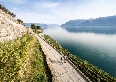 Lavaux Wine and Vineyard Experience with Boat Cruise