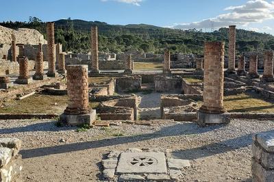 Conimbriga Ruins and Roman Heritage Tour