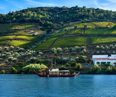Douro Valley Luxury Wine Cruise & Dining | 3 Estates