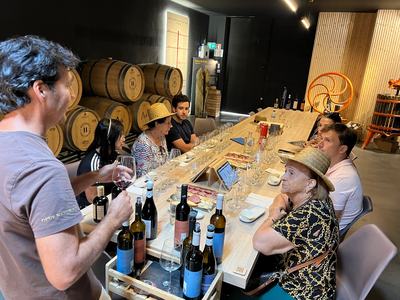 Douro Valley Luxury Wine Cruise & Dining | 3 Estates