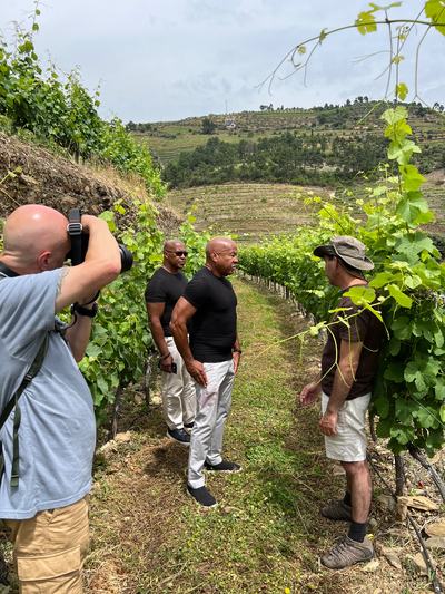 Douro Valley Luxury Wine Cruise & Dining | 3 Estates