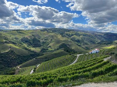 Douro Valley Luxury Wine Cruise & Dining | 3 Estates