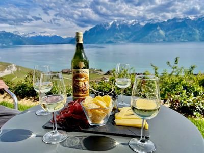 Gruyères, Lavaux & Chocolate Day Trip from Geneva
