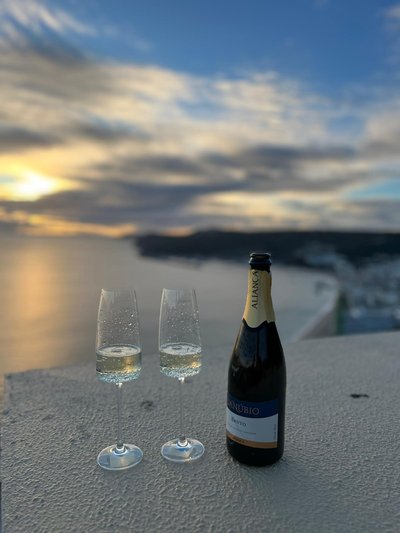 Private Premium Wine Day: Setúbal & Arrábida