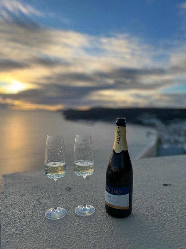 Private Premium Wine Day: Setúbal & Arrábida