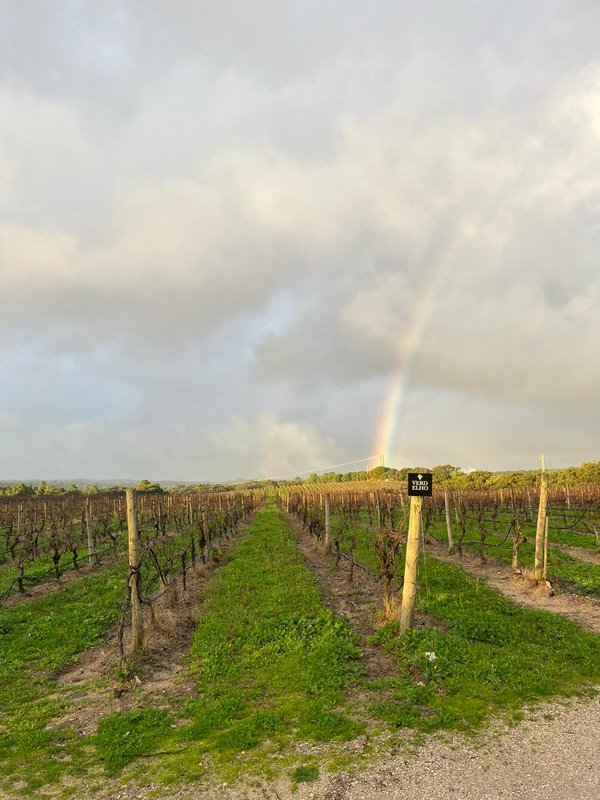 Private Premium Wine Day: Setúbal & Arrábida