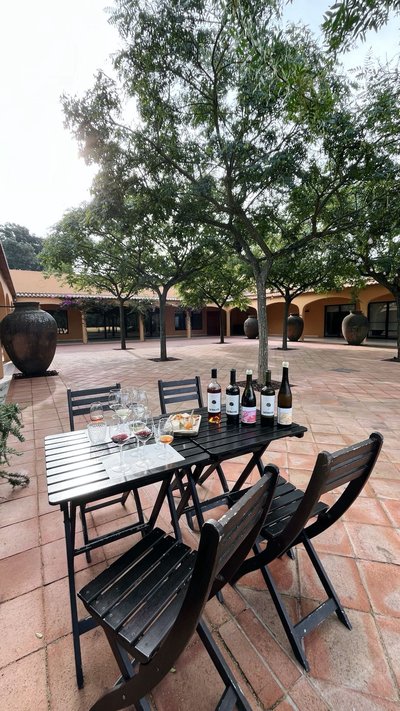 Private Premium Wine Day: Setúbal & Arrábida