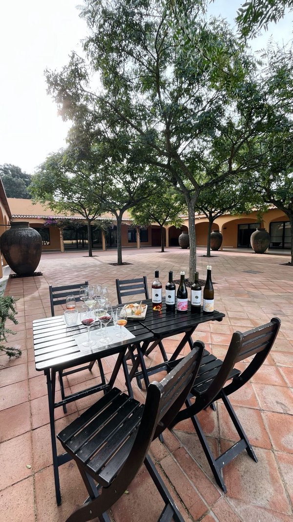 Private Premium Wine Day: Setúbal & Arrábida