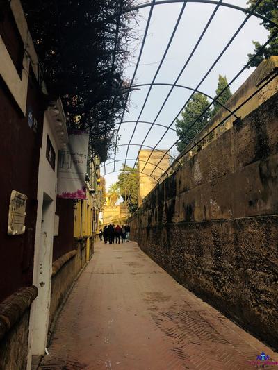 Jewish History of Seville Private Tour