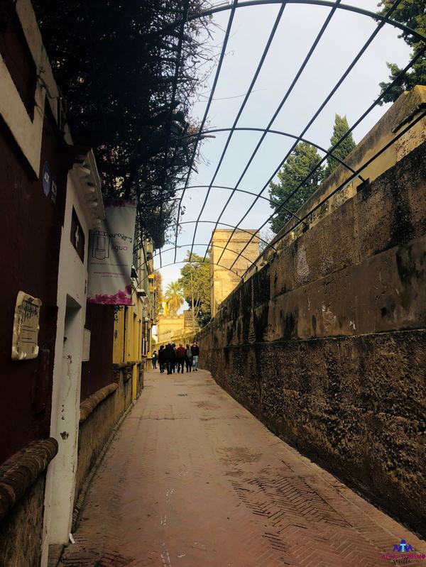 Jewish History of Seville Private Tour