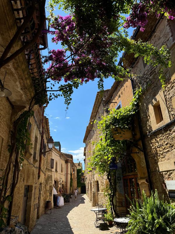 Barcelona: Private Trip, Girona, Medieval Town, Coast & Wine