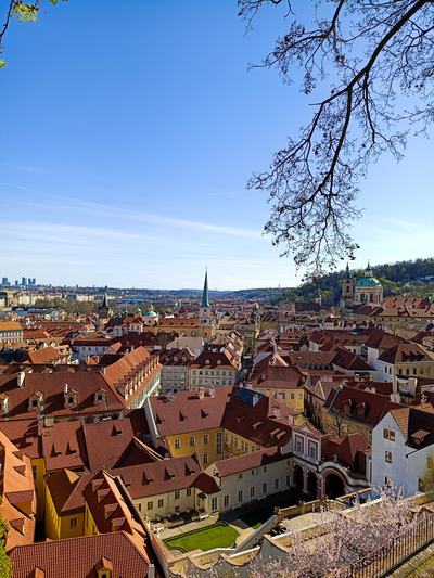 Prague Castle to Old Town: A Highlights Walking Tour