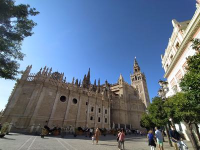 Guided tour of the Cathedral and Alcazar of Seville