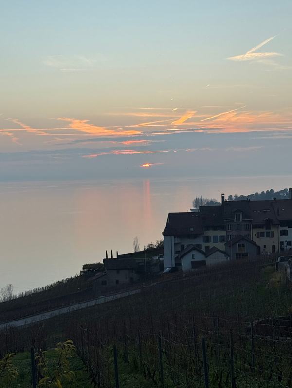 Custom Private Tour of Switzerland