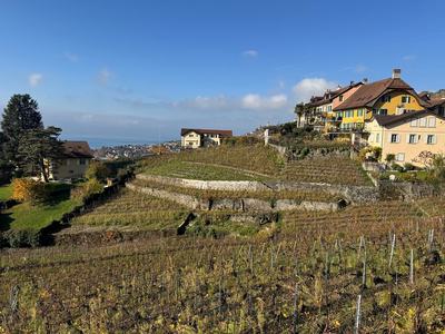 Custom Private Tour of Switzerland