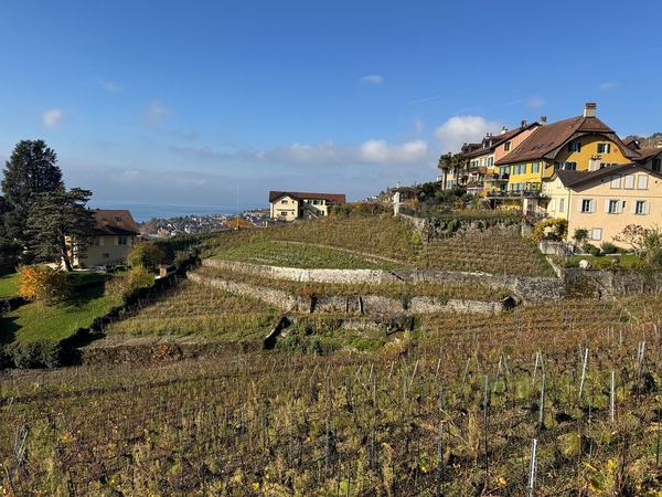 Custom Private Tour of Switzerland