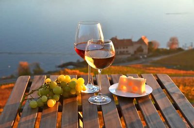 Lavaux Wine and Vineyard Experience with Boat Cruise
