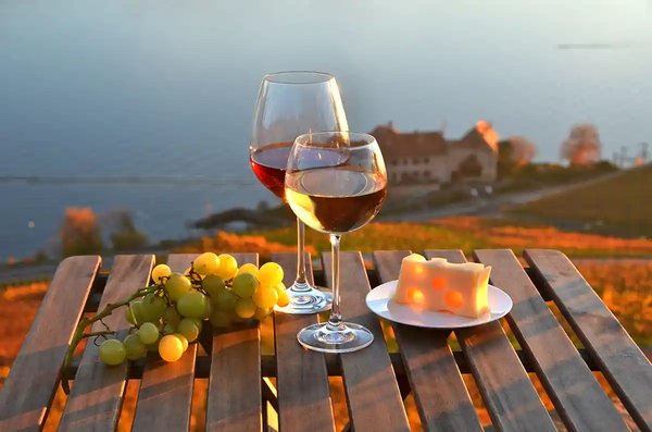 Lavaux Wine and Vineyard Experience with Boat Cruise